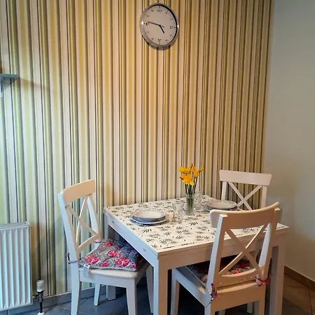 Zum Rosenhof Weisse Rose Apartment Alt Schwerin